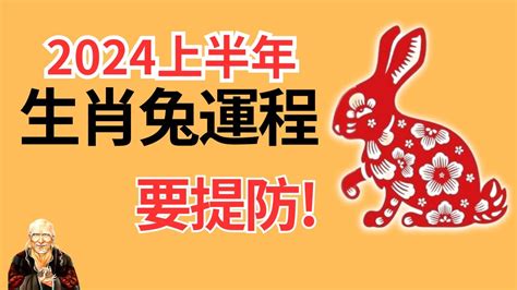 2023兔年運程1987|1987年属兔人2023年全年运势详解 36岁生肖兔2023年。